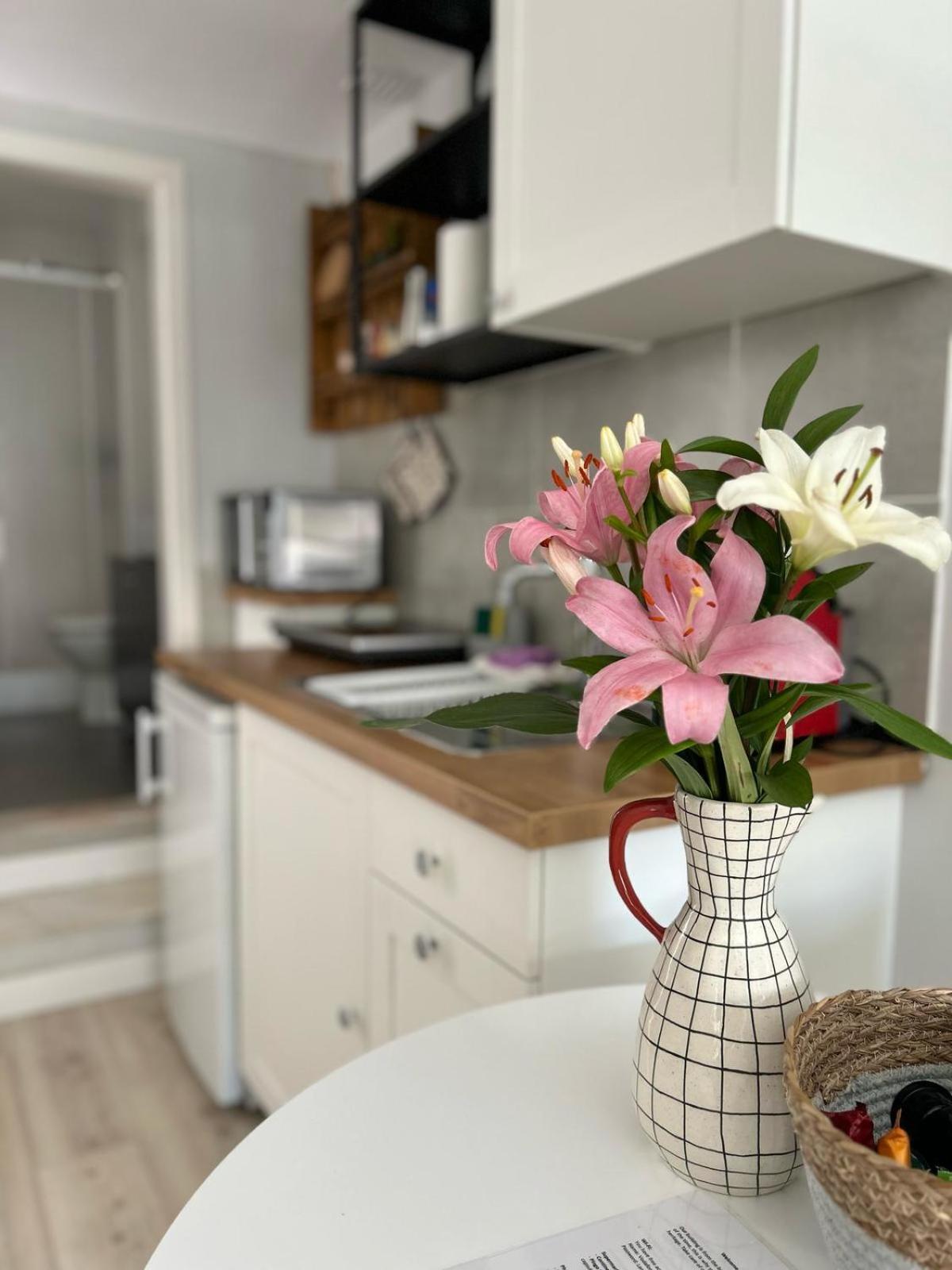 Studio Polvo Пареде Экстерьер фото